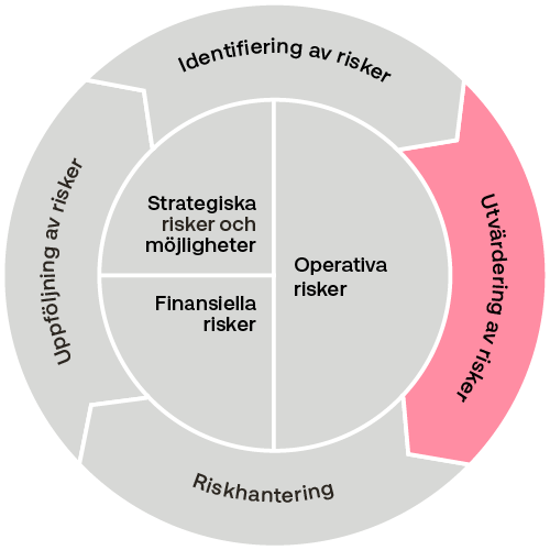 Risksnurran_2_AR2023_sve_500x500.png